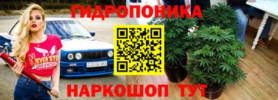 бошки Можга