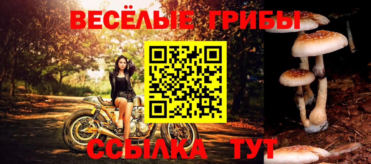 Севастополь  Псилоцибиновые грибы мицелий  Вход с VPN 