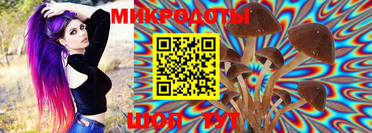Псилоцибиновые грибы ЛСД Севастополь